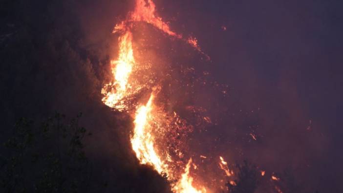 Hatay'da orman yangını