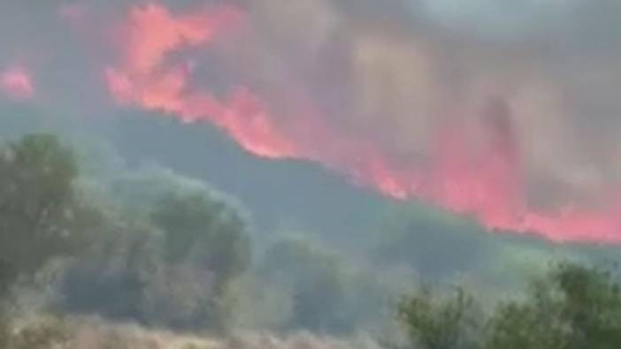 Son dakika... İzmir'de orman yangını!