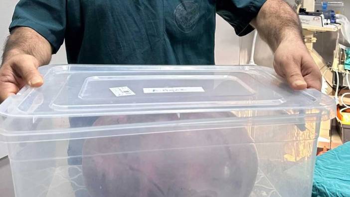 9 kiloluk kitle operasyonla çıkarıldı