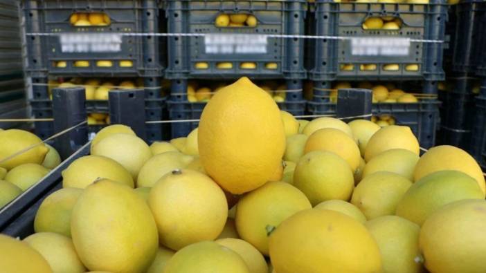 Limonun tanesi 25 TL oldu! Üzerine sıkılan sodanın fiyatını geçti