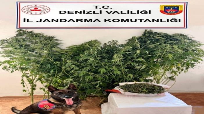 Denizli'de uyuşturucu operasyonu: Kilolarca ele geçirildi