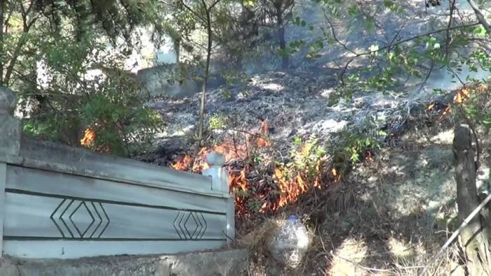 Tokat'taki orman yangını kontrol altına alındı