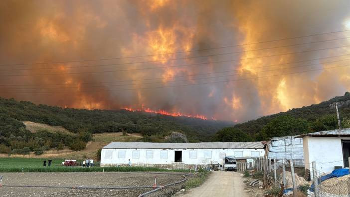 Bursa’da orman yangını! Alevler çiftliklere doğru yayılıyor: Köylüler seferber oldu