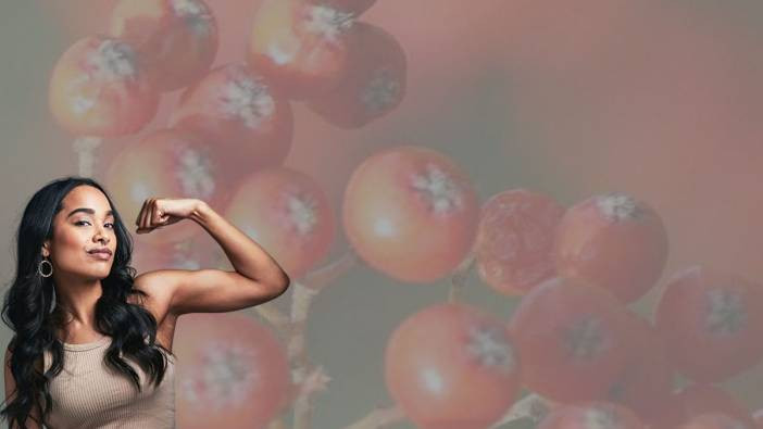 Karadeniz’in sırrı bir avuçla vücudu yeniliyor! Sağlık bombasının şaşırtıcı faydaları saymakla bitmiyor