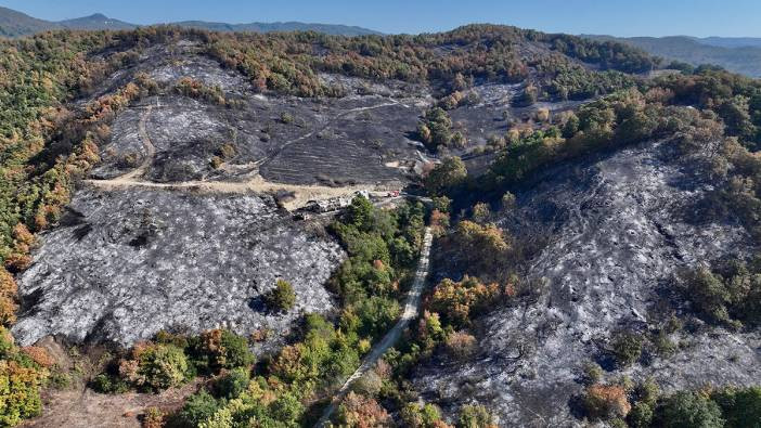 Düzce'de orman yangını! Acı tablo havadan görüntülendi