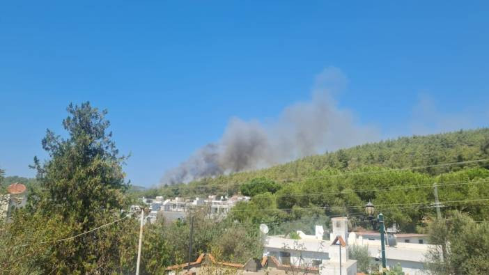 Bodrum’da orman yangını: Rüzgarın etkisiyle büyüdü