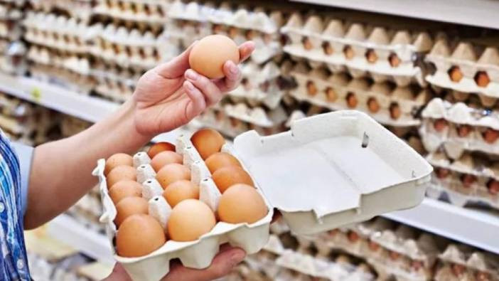 Yumurta üretiminde alarm zilleri çalıyor! Tüketiciye büyük şok
