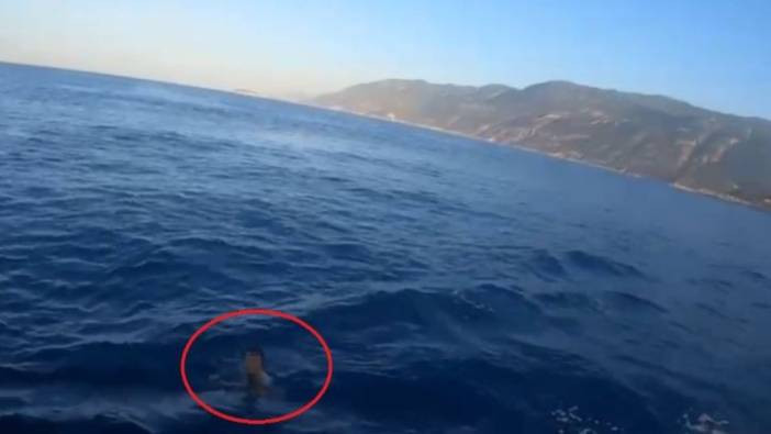 Yunanistan'a kaçıyordu yüzerken yakalandı