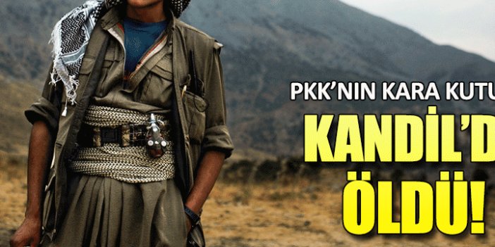 PKK'nın kara kutusu Kandil'de öldü