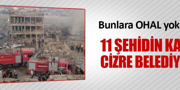 11 polisi şehit eden kamyon Cizre Belediyesi’nin çıktı