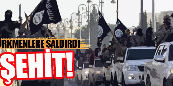 IŞİD Türkmen köyüne saldırdı