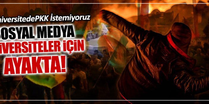 Üniversiteli PKK'lılara sosyal medyadan tepki yağdı