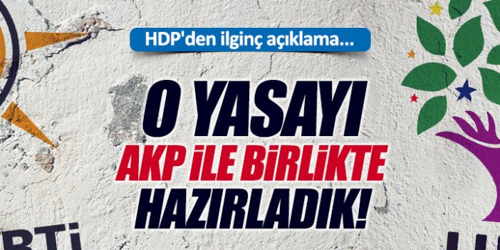 HDP'li Baluken'den, AKP açıklaması