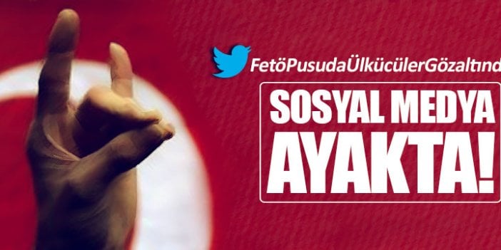 Gözaltındaki ülkücüler için sosyal medya ayağa kalktı