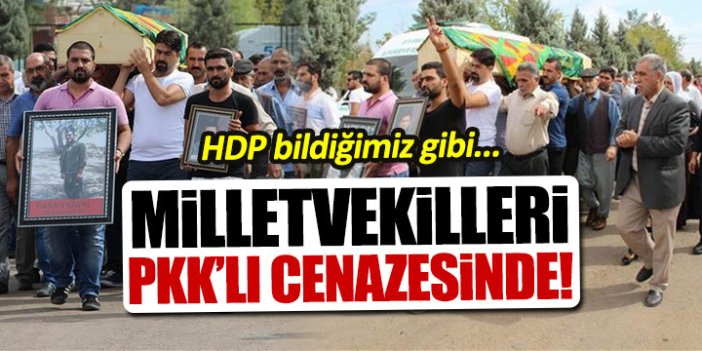 HDP'liler PKK'lı cenazesinde
