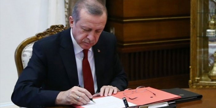 Erdoğan, 3 kanunu onayladı