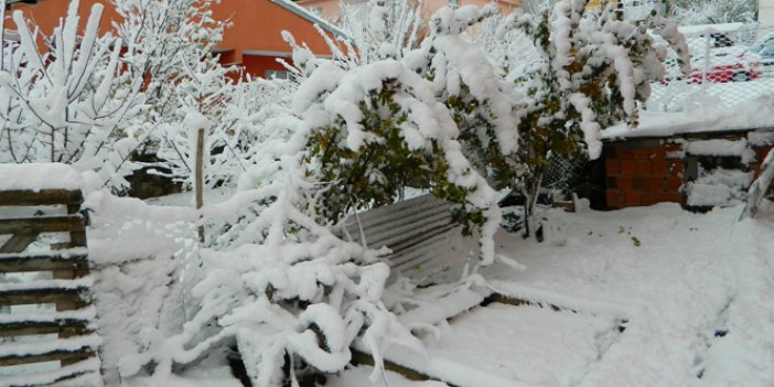 Yılın ilk kar tatili