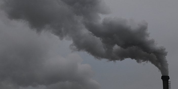 Hava kirliliği zekayı azaltıyor