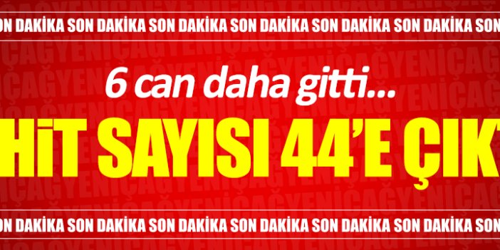 Sağlık Bakanı Recep Akdağ: Şehit sayısı 44'e çıktı