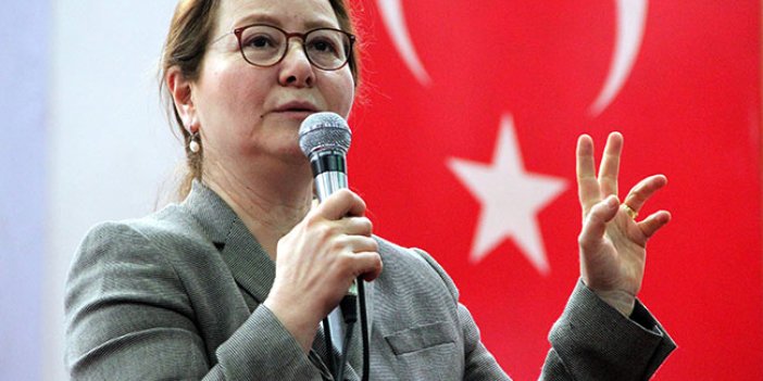 MHP'li Demirel: 'Hayır'cılar yeni Anayasayı okumamış