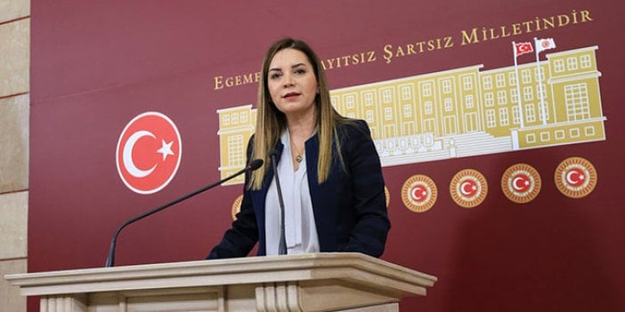 MHP'li Arzu Erdem'den ilginç açıklama