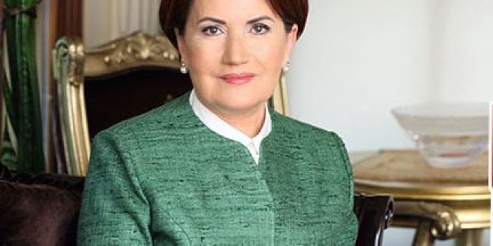 Meral Akşener'den Telafer çıkışı