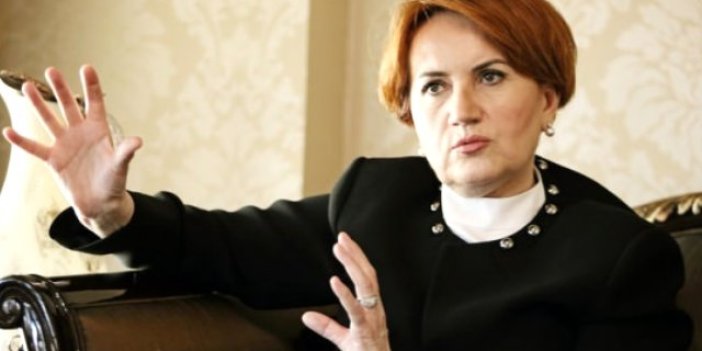 Atatürk büstüne saldırıya Akşener'den tepki