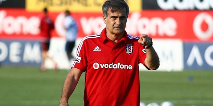 TFF, Şenol Güneş'e teklifte bulundu iddiası