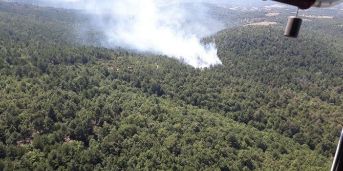 Çanakkale'de yangın