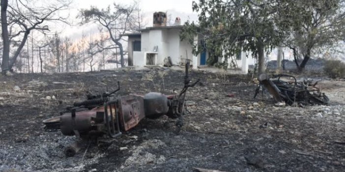 Muğla'da orman yangını sürüyor