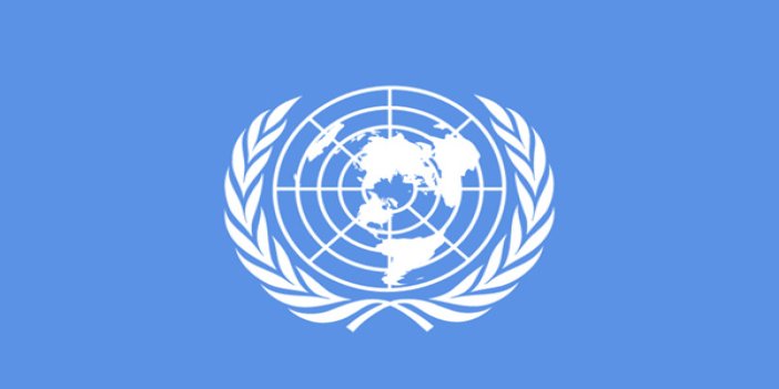 BM'den referandum açıklaması
