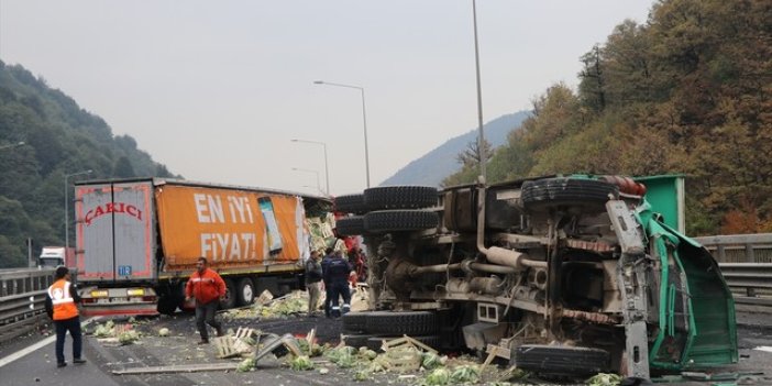 TEM'de TIR ve kamyon çarpıştı