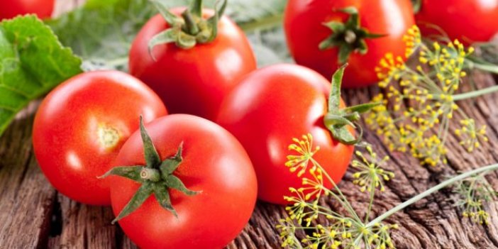 Ruslar, Türk domates üreticisini denetleyecek