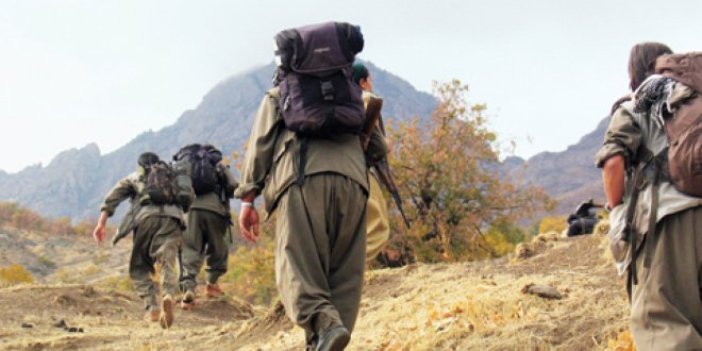 MİT, JÖH ve PÖH'ten PKK'ya ortak operasyon