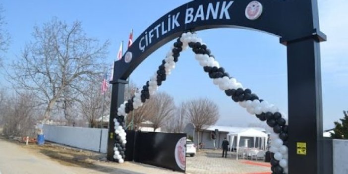 Çiftlik Bank hakkında inceleme başlatıldı