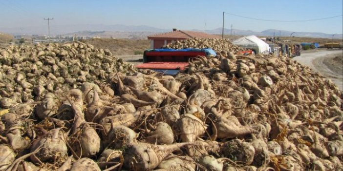 Tarım Uzmanı Donat'tan şeker fabrikalarıyla ilgili çarpıcı değerlendirme