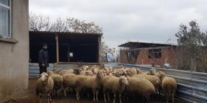 43 köy karantinaya alındı