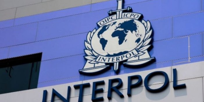 Interpol'den Türkiye kararı