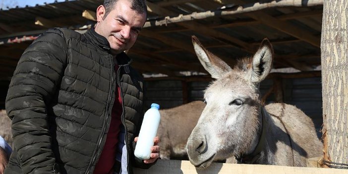 Eşek sütünün litresini 100 liradan satıyor!