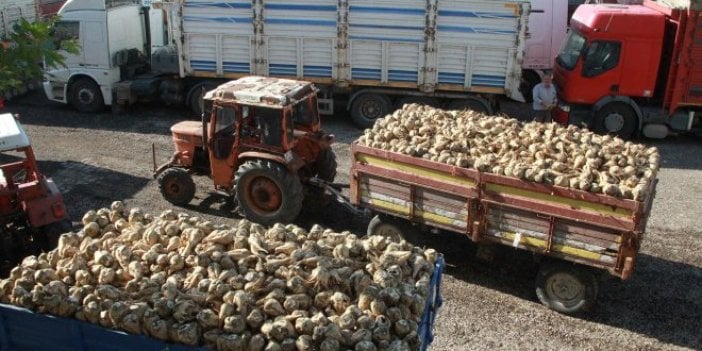 Afyon Şeker Fabrikası satıldı