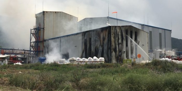 Yalova'da kimya fabrikasında yangın
