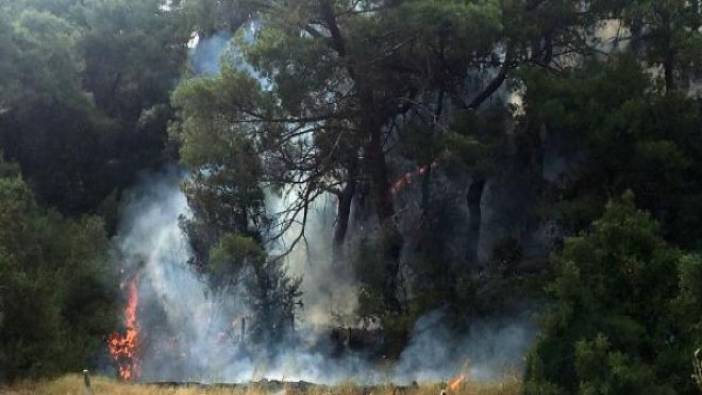 Antalya'da orman yangını (20 Mayıs 2018)