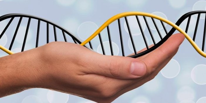 DNA robotlarının kontrolü için yeni sistem geliştirildi