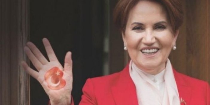 Akşener Ordu ve Giresun'da