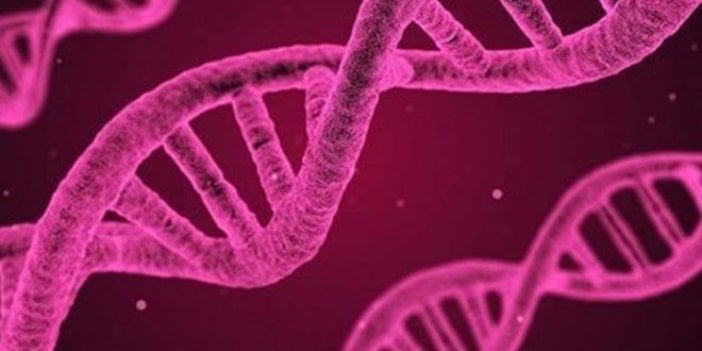 Ucuza maliyetli hızlı DNA sentezleme yöntemi geliştirildi