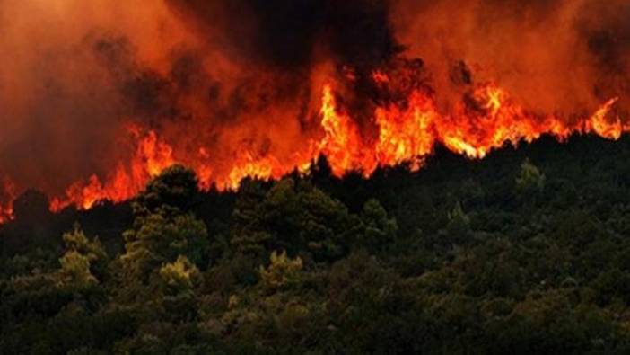 Gaziantep'te orman yangını (29 Haziran 2018)