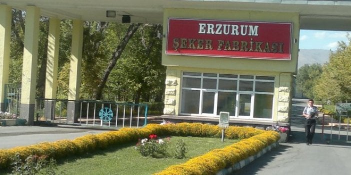 Şeker fabrikasında işten çıkarılan işçiler: “AKP bize söz vermişti, ama işsiz kaldık”