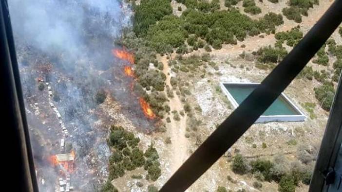 İzmir’de orman yangını (15 Temmuz 2018)