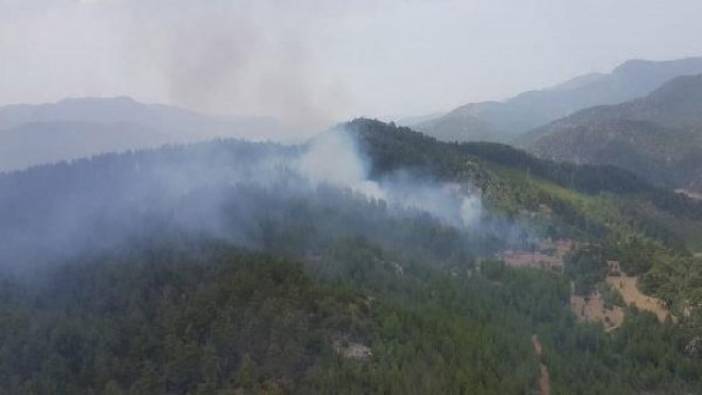 Denizli'de orman yangını (24 Temmuz 2018)