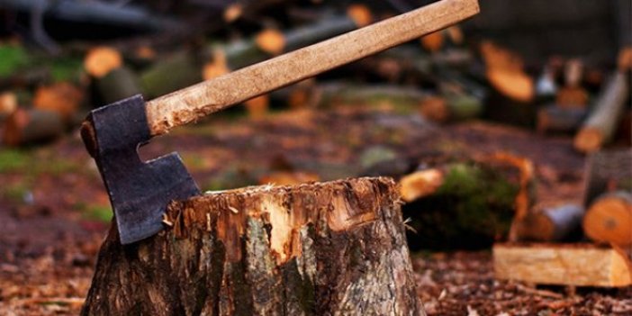 Çorlu'da ağaç katliamı iddiası